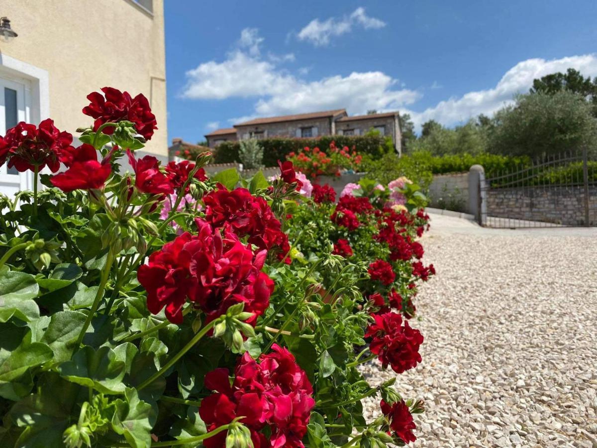 Apartman Luna Sveti Lovreč Pazenatički Екстериор снимка